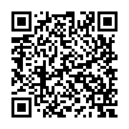 QR code for plate PPZ 997