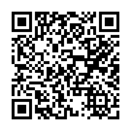 QR code for plate PQQ 394