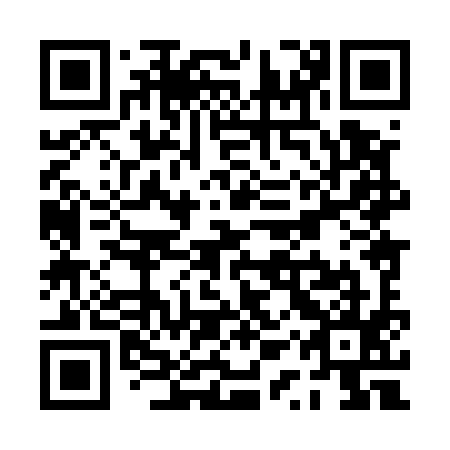 QR code for plate PQX 595