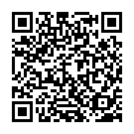 QR code for plate PSM 318