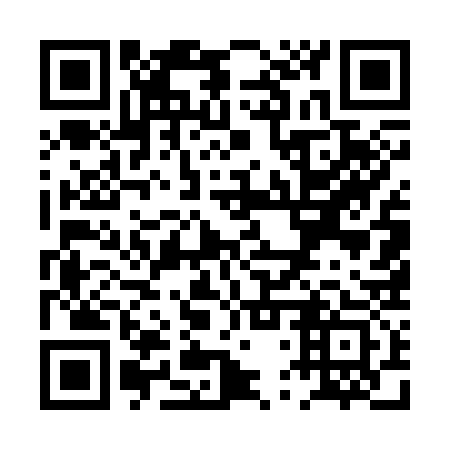 QR code for PTU333