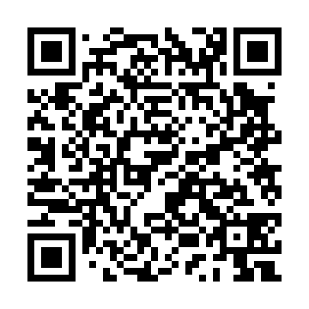 QR code for plate PUB 038