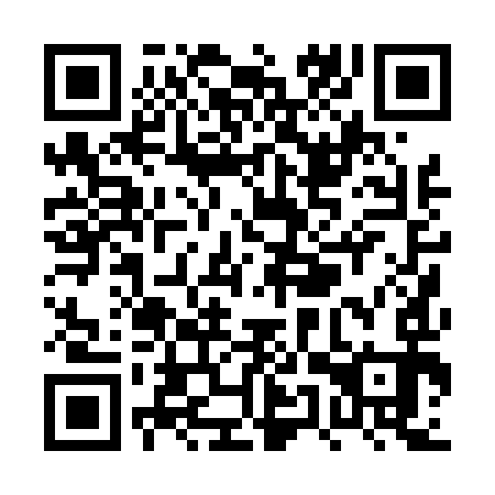 QR code for PUP 493