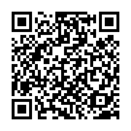 QR code for plate PYE 478
