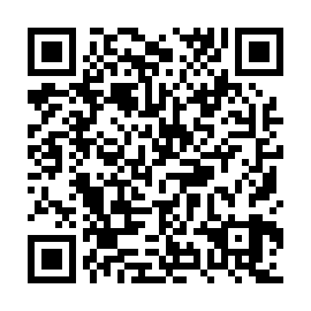 QR code for PYI 029