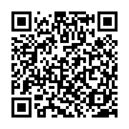 QR code for PYI 061