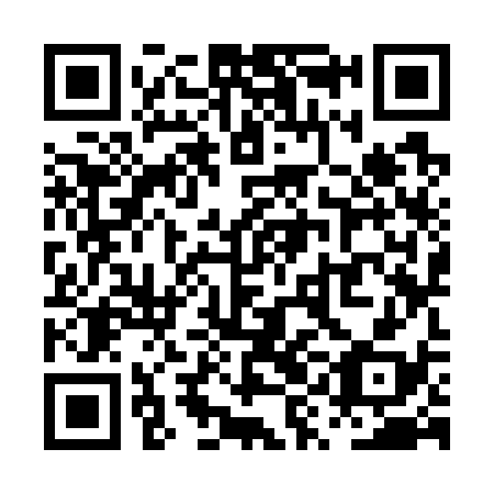 QR code for PYK 738