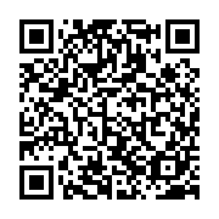 QR code for PZI 100