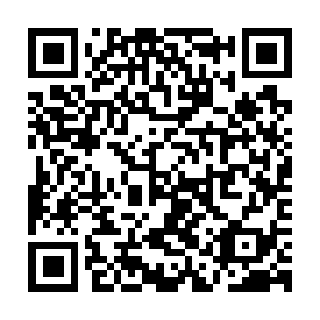 QR code for QAS739