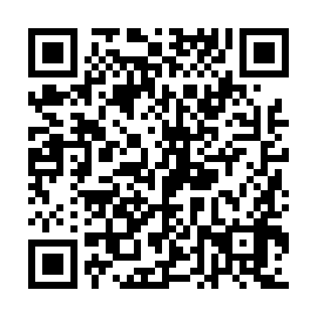 QR code for QDZ498