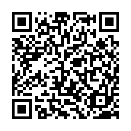 QR code for QEA 313