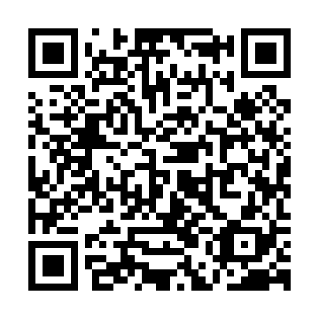 QR code for QEI 028