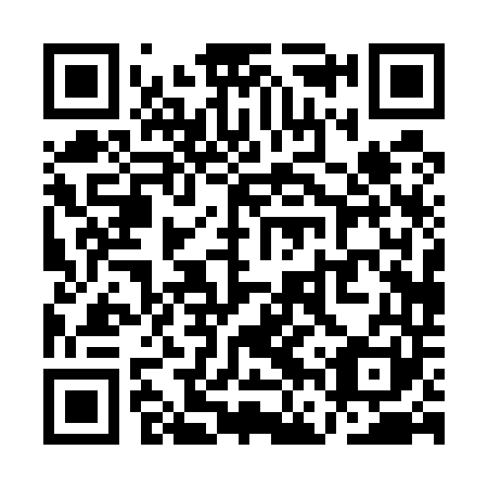 QR code for QFP541