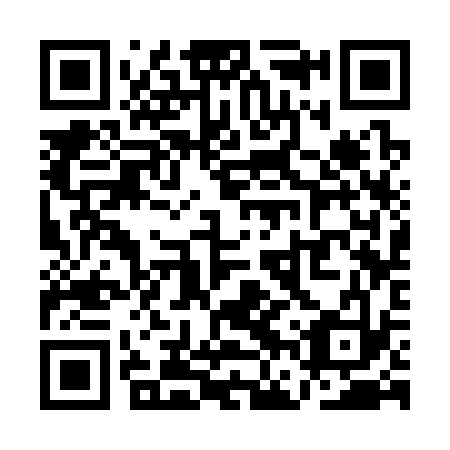 QR code for QFS333
