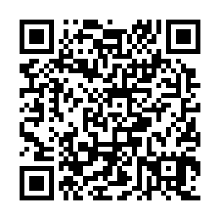 QR code for plate QFV 305