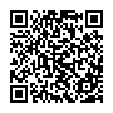 QR code for QGP 206
