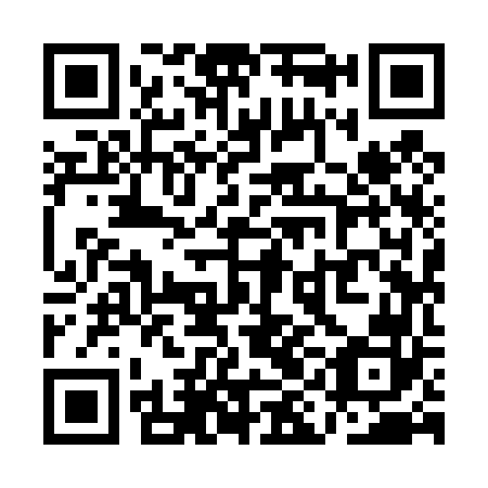 QR code for QII 462