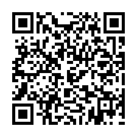 QR code for QIJ 163