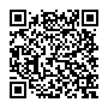 QR code for QIJ 528