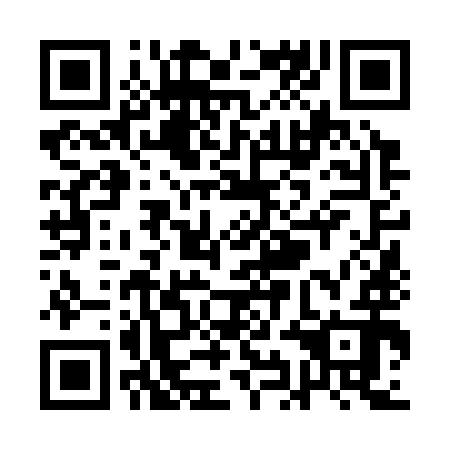 QR code for QIN 392