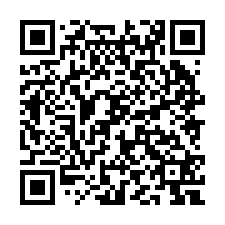QR code for QIX 220