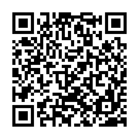 QR code for QJS316