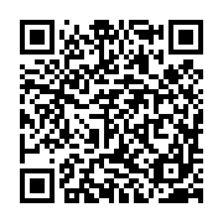 QR code for QLZ 497