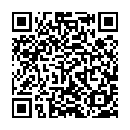 QR code for QML595