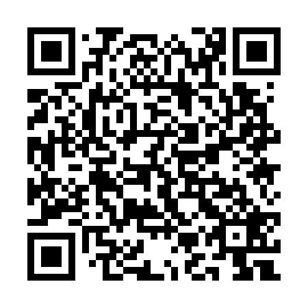 QR code for plate QMQ 729