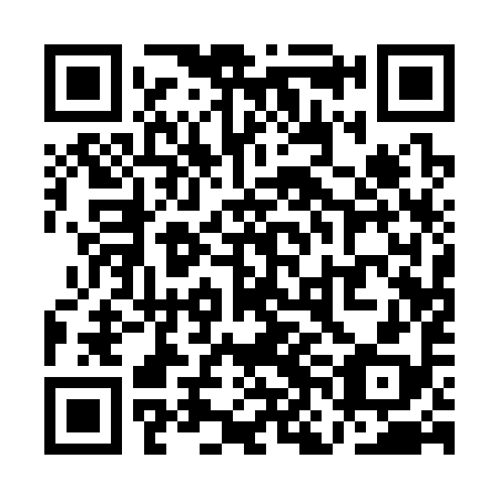 QR code for plate QNA 398