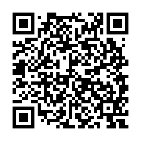 QR code for plate QNF 395