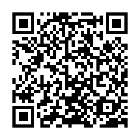QR code for QNI 029