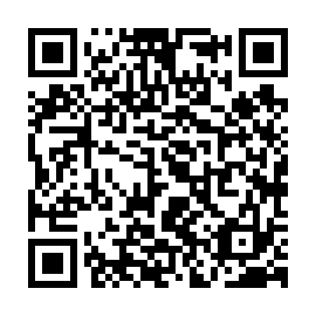 QR code for plate QNX 633