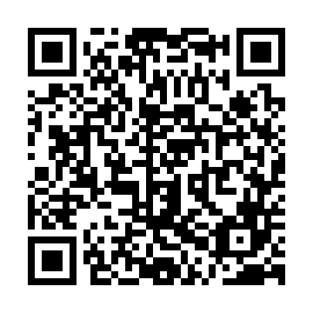 QR code for plate QPG 346