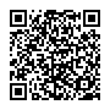 QR code for QPI 225