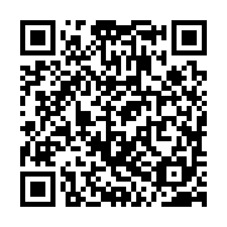 QR code for plate QPJ 395