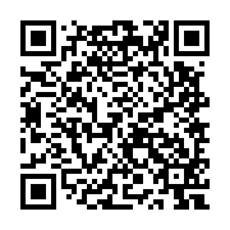 QR code for QPJ593