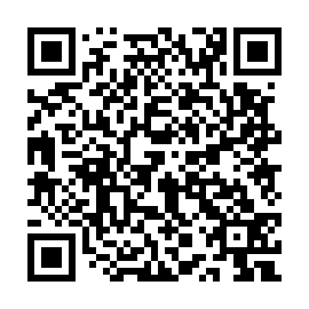 QR code for plate QPP 533