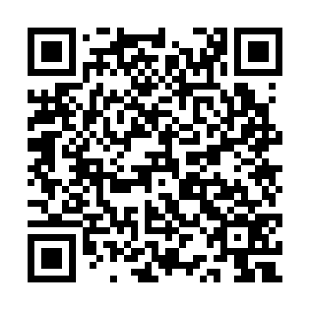 QR code for plate QRO 376
