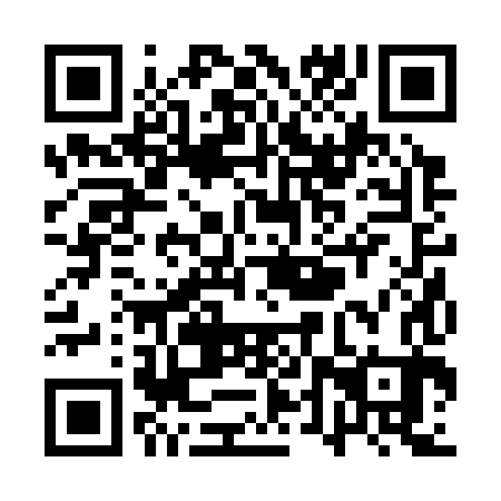 QR code for plate QTR 383