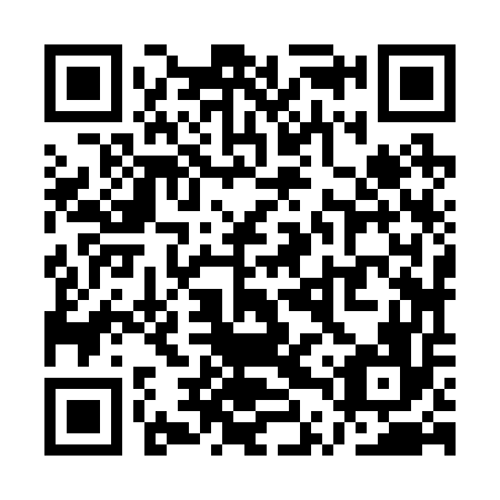 QR code for plate QTZ 256