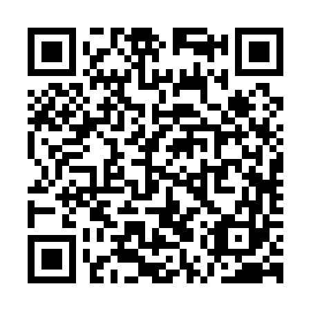 QR code for plate QUR 163
