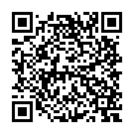 QR code for QVM 541