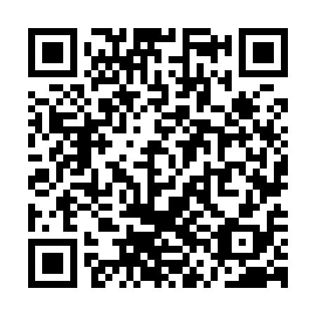 QR code for QVN 918