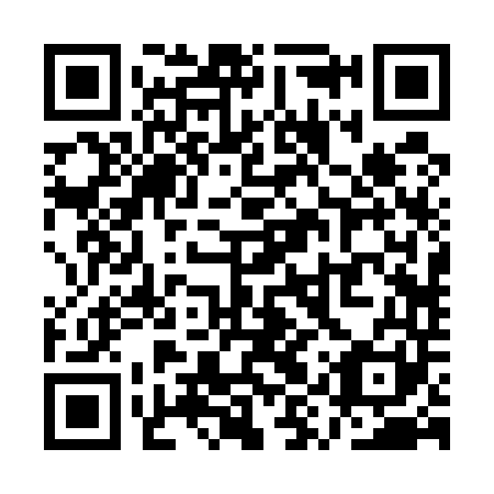 QR code for QYR 541