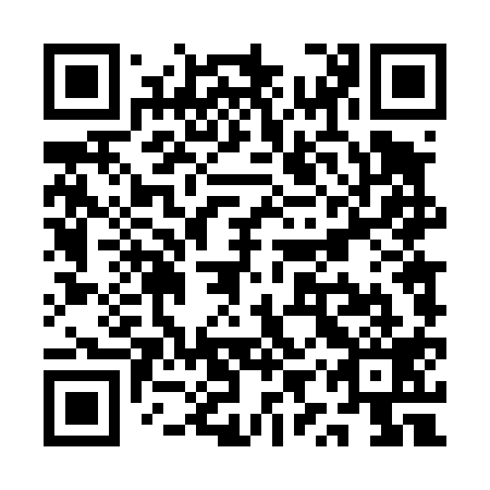 QR code for plate QYT 419