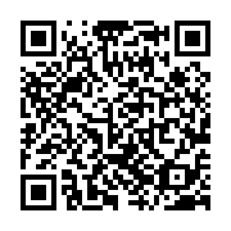 QR code for plate QZL 119