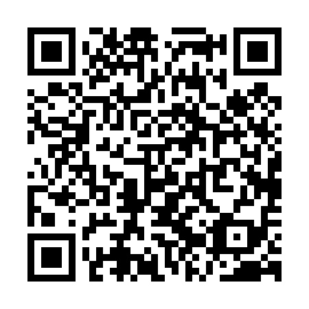 QR code for QZP419