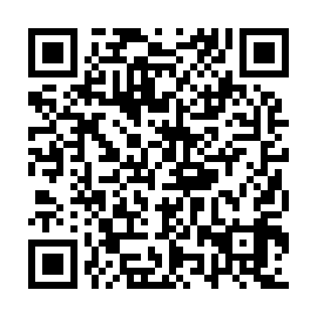 QR code for QZR 919