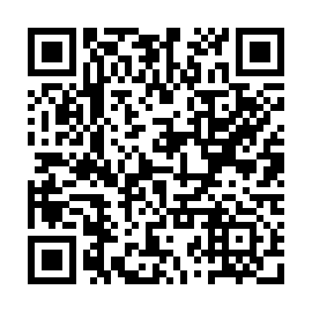 QR code for QZV 313